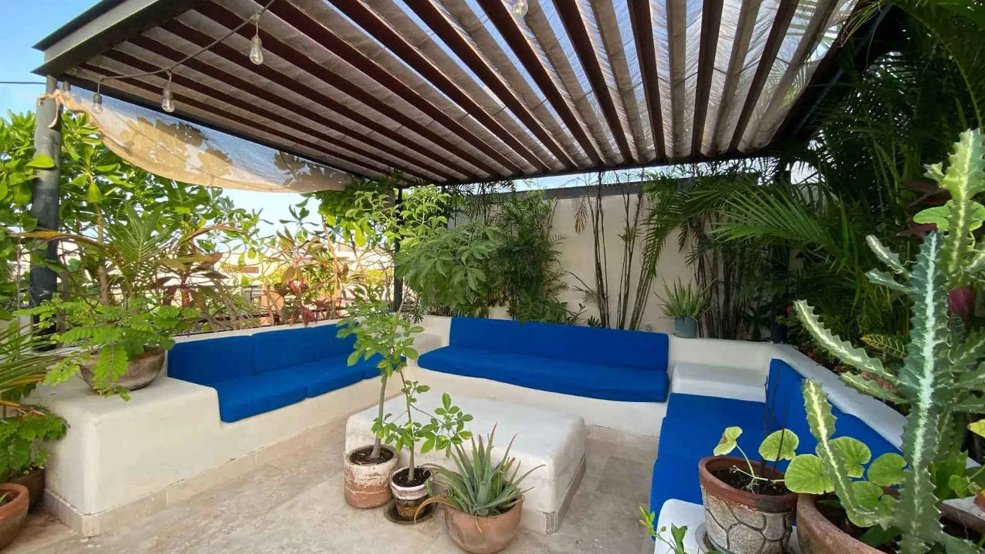 Tropical Haven - Luxury Apartment With Private Rooftop Pool And Amazing Pool View Tulum Mexico